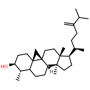 Chemical structure of Cycloeucalenol , CAS 469-39-6, AChemBlock AD273861