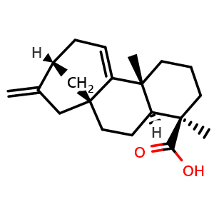 Chemical structure of Grandiflorenic acid , CAS 22338-67-6, AChemBlock AD274027