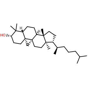 Chemical structure of Cycloartanol , CAS 4657-58-3, AChemBlock AD274101
