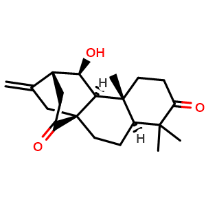 Chemical structure of ent-11beta-Hydroxyatis-16-ene-3,14-dione , CAS 1092103-22-4, AChemBlock AD274167