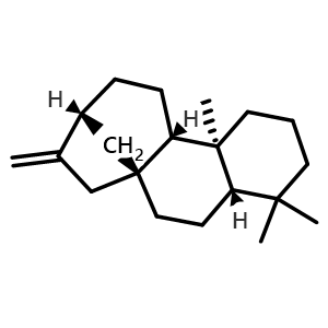 Chemical structure of (+)-Phyllocladene , CAS 469-86-3, AChemBlock AD274235
