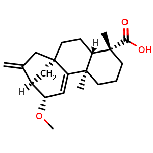 Chemical structure of 12alpha-Methoxygrandiflorenic acid , CAS 135383-94-7, AChemBlock AD274443