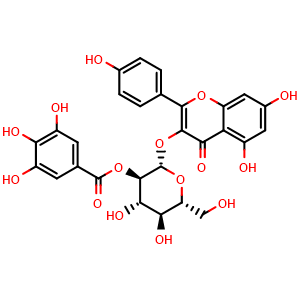 Kaempferol 3-(2''-galloylglucoside)