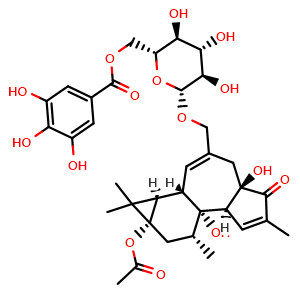 Fischeroside B