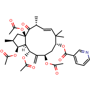 Chemical structure of (2S,3S,3aR,4R,6R,8R,10E,12R,13aR)-3,4,6,13a-Tetrakis(acetyloxy)-2,3,3a,4,5,6,7,8,9,12,13,13a-dodecahydro-2,9,9,12-tetramethyl-5-methylene-13-oxo-1H-cyclopentacyclododecen-8-yl 3-pyridinecarboxylate , CAS 244277-75-6, AChemBlock AD275338