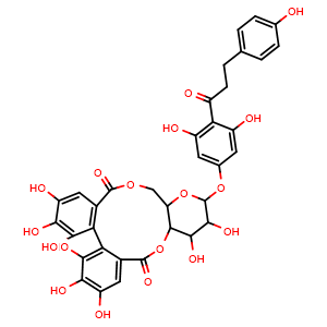Chemical structure of 13-(3,5-Dihydroxy-4-(3-(4-hydroxyphenyl)propanoyl)phenoxy)-2,3,4,5,6,7,14,15-octahydroxy-11,11a,13,14,15,15a-hexahydrodibenzo[g,i]pyrano[3,2-b][1,5]dioxacycloundecine-9,17-dione , CAS 2329726-95-4, AChemBlock AD275537