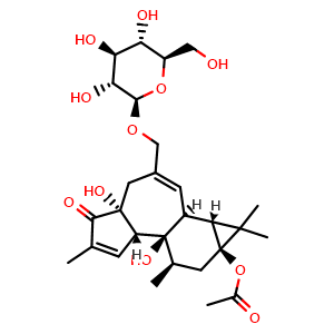Fischeroside A