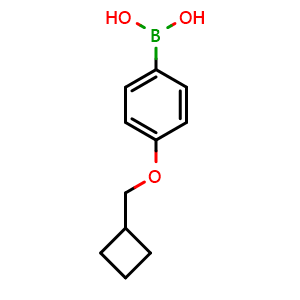 Chemical structure of 4-(Cyclobutylmethoxy)phenylboronic acid , CAS 1887010-82-3, AChemBlock AD276660