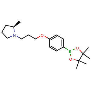 Chemical structure of (R)-4-[3-(2-Methylpyrrolidin-1-yl)propoxy]phenylboronic acid pinacol ester , CAS 1005403-35-9, AChemBlock AD276943