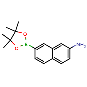 Chemical structure of 7-(4,4,5,5-Tetramethyl-1,3,2-dioxaborolan-2-yl)naphthalen-2-amine , CAS 2749532-59-8, AChemBlock AD279019