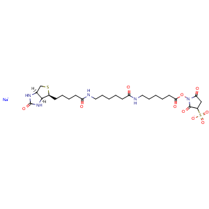 Chemical structure of Sulfo-NHS-LC-LC-Biotin , CAS 194041-66-2, AChemBlock AD279726
