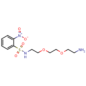 Chemical structure of N-[2-[2-(2-Aminoethoxy)ethoxy]ethyl]-2-nitrobenzenesulfonamide , CAS 2808470-63-3, AChemBlock AD281636