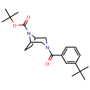 Chemical structure of 1,1-Dimethylethyl 3-[3-(1,1-dimethylethyl)benzoyl]-3,8-diazabicyclo[3.2.1]octane-8-carboxylate , CAS 2852993-83-8, AChemBlock AD281716