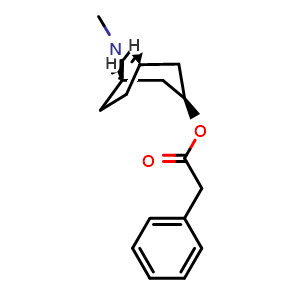 Chemical structure of endo-8-Methyl-8-azabicyclo[3.2.1]octan-3-yl 2-phenylacetate , CAS 1690-22-8, AChemBlock AD283048