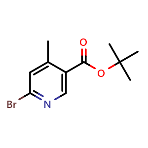 Chemical structure of tert-Butyl 6-bromo-4-methylnicotinate , CAS 2643367-50-2, AChemBlock AD283929