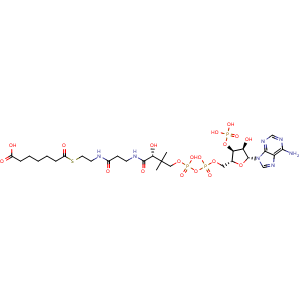 Chemical structure of Pimeloyl-CoA , CAS 18907-20-5, AChemBlock AD285615