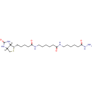 Chemical structure of Biotin-XX hydrazide , CAS 211237-33-1, AChemBlock AD286577