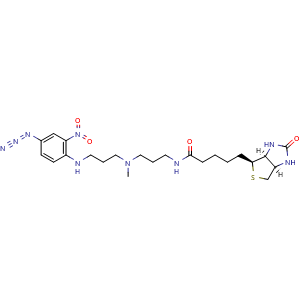 Chemical structure of Photobiotin , CAS 136233-53-9, AChemBlock AD286586