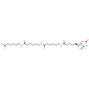 Chemical structure of Biotin-LC-LC-LC , CAS 157892-10-9, AChemBlock AD286596