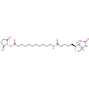 Chemical structure of Biotin-C10-NHS ester , CAS 887628-40-2, AChemBlock AD286598