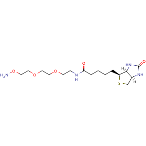 Chemical structure of Biotin-PEG2-oxyamine , AChemBlock AD286600