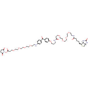 Chemical structure of UV-Tracer Biotin NHS ester , CAS 1628029-01-5, AChemBlock AD286620