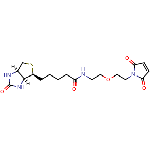 Chemical structure of Biotin-PEG1-Mal , AChemBlock AD286624