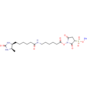 Chemical structure of Sulfo-NHS-LC-Desthiobiotin , AChemBlock AD286648