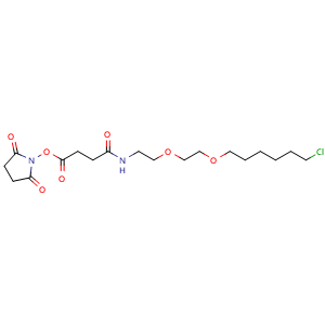 Chemical structure of Cl-C6-PEG2-NHCO-C2-NHS , CAS 1803085-03-1, AChemBlock AD286888