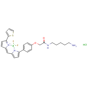 Chemical structure of BODIPY TR cadaverine , CAS 217190-24-4, AChemBlock AD287076