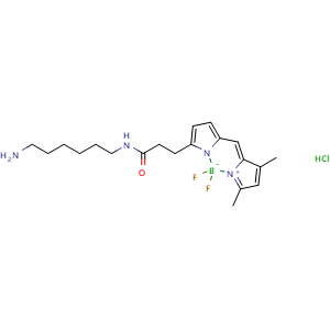 Chemical structure of BDP FL amine , CAS 2183473-03-0, AChemBlock AD287084