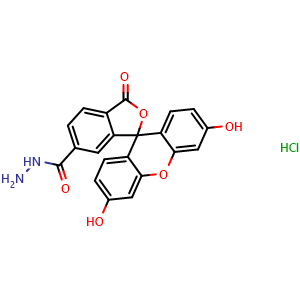 Chemical structure of 3',6'-Dihydroxy-3-oxo-3H-spiro[isobenzofuran-1,9'-xanthene]-6-carbohydrazide hydrochloride , CAS 2183440-65-3, AChemBlock AD287220