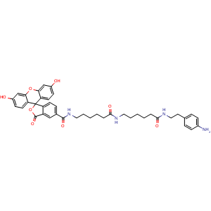 Chemical structure of N-(6-((6-((4-aminophenethyl)amino)-6-oxohexyl)amino)-6-oxohexyl)-3',6'-dihydroxy-3-oxo-3H-spiro[isobenzofuran-1,9'-xanthene]-5-carboxamide , AChemBlock AD287228