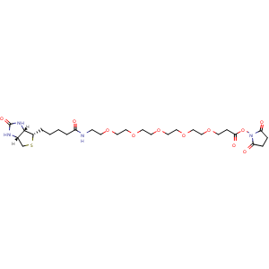 Chemical structure of Biotin-PEG5-NHS ester , AChemBlock AD287250