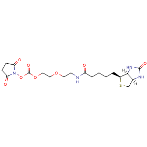 Chemical structure of Biotin-PEG2-COO-NHS ester , CAS 1609642-58-1, AChemBlock AD287254