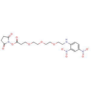 Chemical structure of DNP-PEG3-NHS ester , AChemBlock AD287260