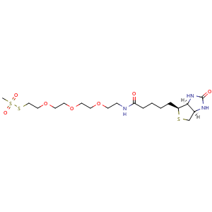 Chemical structure of MTS-PEG3-Biotin [1-Biotinylamino-3,6,9-trioxaundecane-11-yl-methanethiosulfonate] , CAS 1217838-20-4, AChemBlock AD287372