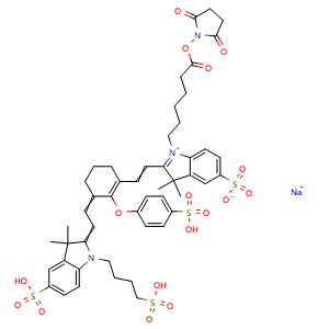 Chemical structure of IRDye 800 NHS , CAS 956579-01-4, AChemBlock AD287553
