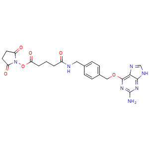Chemical structure of BG-GLA-NHS , CAS 1060652-57-4, AChemBlock AD287611