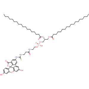 Chemical structure of DSPE-FITC , AChemBlock AD287617
