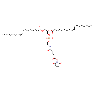 Chemical structure of DOPE-NHS , CAS 1010188-79-0, AChemBlock AD287620