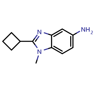 Chemical structure of 2-Cyclobutyl-1-methyl-1H-benzo[d]imidazol-5-amine , CAS 1368897-56-6, AChemBlock AD288081