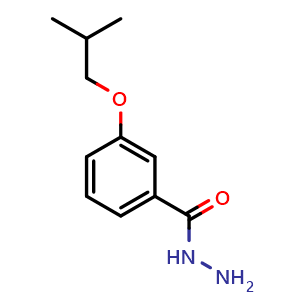 Chemical structure of 3-Isobutoxybenzohydrazide , CAS 350997-59-0, AChemBlock AD288827