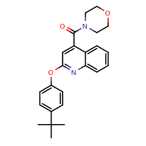 Chemical structure of (2-(4-(tert-Butyl)phenoxy)quinolin-4-yl)(morpholino)methanone , CAS 869872-50-4, AChemBlock AD289095