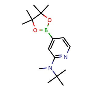 Chemical structure of N-tert-butyl-N-methyl-4-(4,4,5,5-tetramethyl-1,3,2-dioxaborolan-2-yl)pyridin-2-amine , CAS 1352757-01-7, AChemBlock AD290426