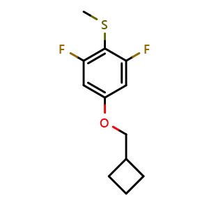 Chemical structure of (4-(cyclobutylmethoxy)-2,6-difluorophenyl)(methyl)sulfane , CAS 2921845-56-7, AChemBlock AD292612