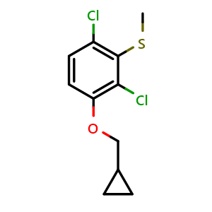 Chemical structure of (2,6-dichloro-3-(cyclopropylmethoxy)phenyl)(methyl)sulfane , CAS 2921841-46-3, AChemBlock AD292742