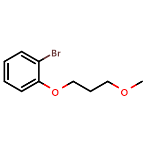 Chemical structure of 1-bromo-2-(3-methoxypropoxy)benzene , CAS 1079402-67-7, AChemBlock AD294248