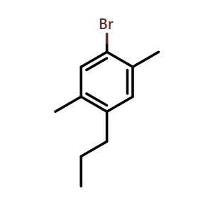 Chemical structure of 1-bromo-2,5-dimethyl-4-propylbenzene , CAS 2918882-49-0, AChemBlock AD296377