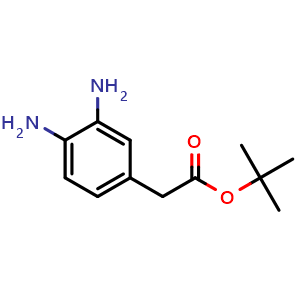 Chemical structure of (3,4-Diamino-phenyl)-acetic acid tert-butyl ester , CAS 2168637-83-8, AChemBlock K12419
